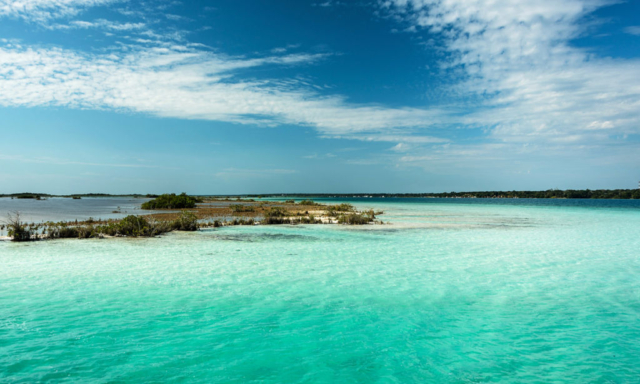 Bacalar